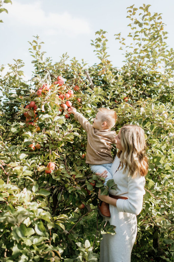 Mother holding her son up so he can pick apples