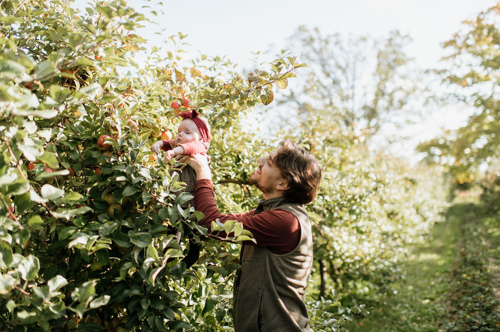 Father holding up his daughter in an apple orchard