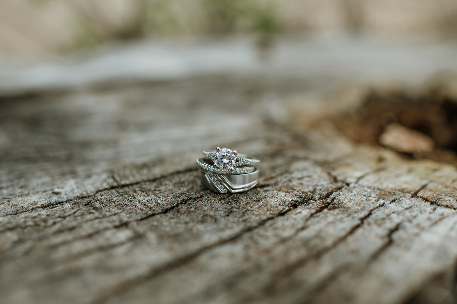 Wedding rings sitting on beach wood