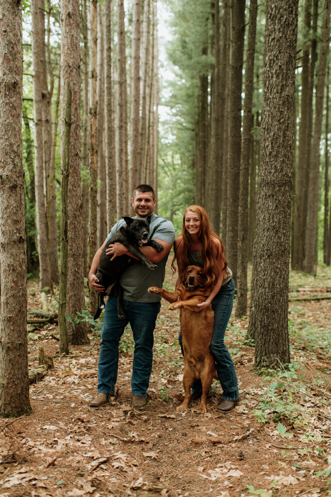 Couple posing for their outdoor summer engagement photos in Indiana with their two dogs