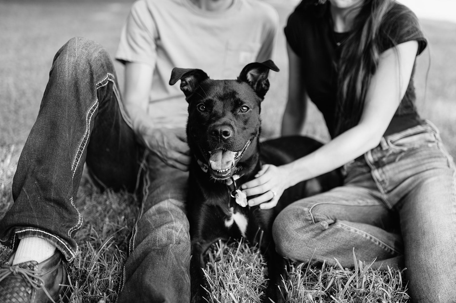 Black and white close crop of a man and woman petting their dog