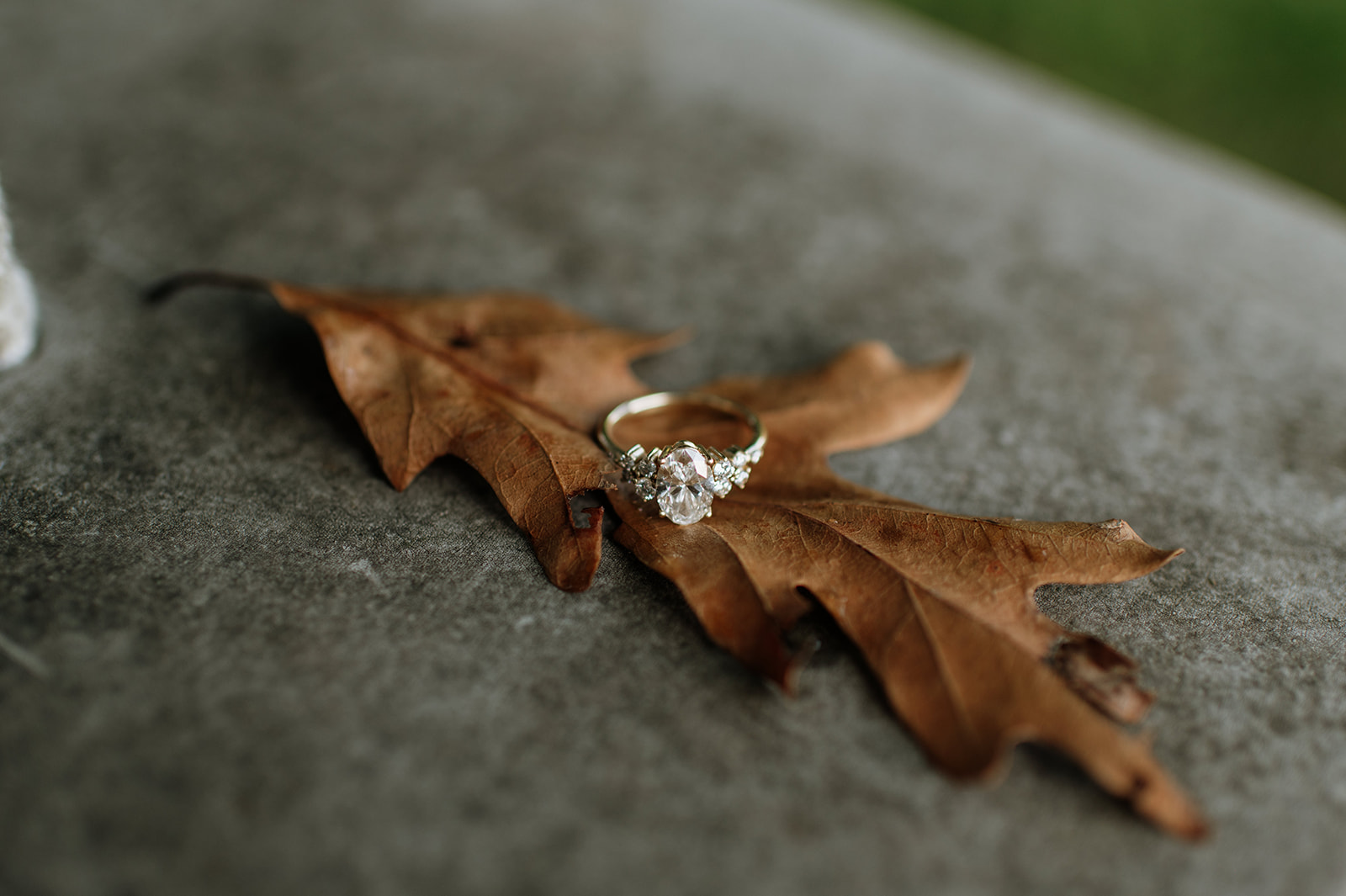 Three-stone engagement ring sitting on a leaf