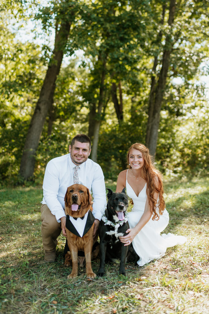 Bride and groom posing with their dogs