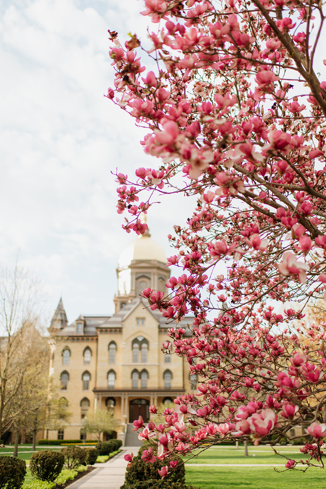 University of Notre Dame