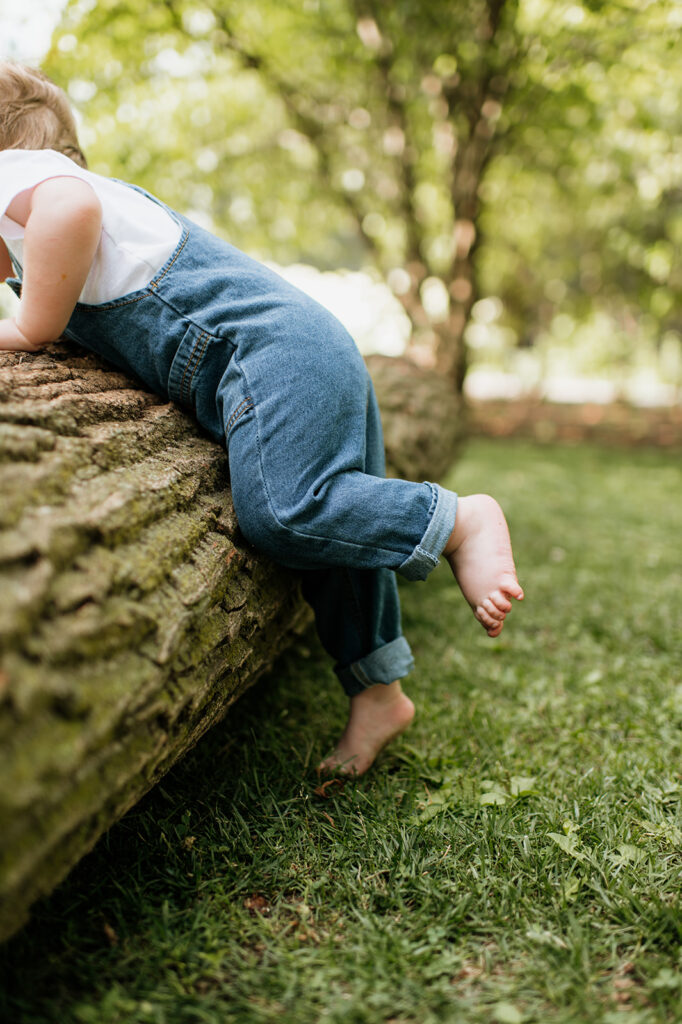Toddler boy crawling over a fallen tree log