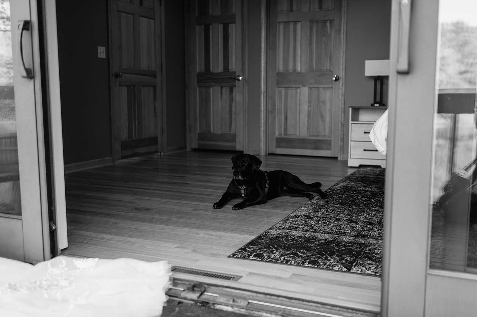Black and white photo of the bride and grooms dog inside the main house. 