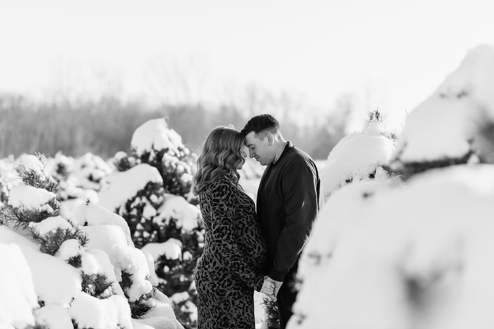 Black and white photo of couple touching foreheads in a snowy tree farm in Northern Indiana.