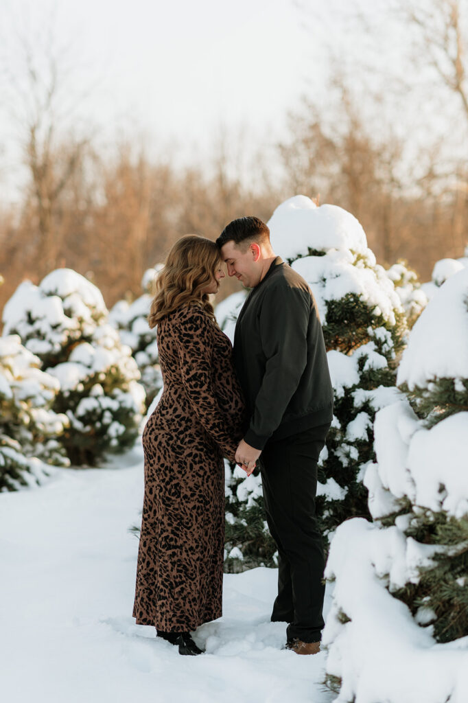Couple touching forehead during their outdoor winter couples maternity shoot at a tree farm.