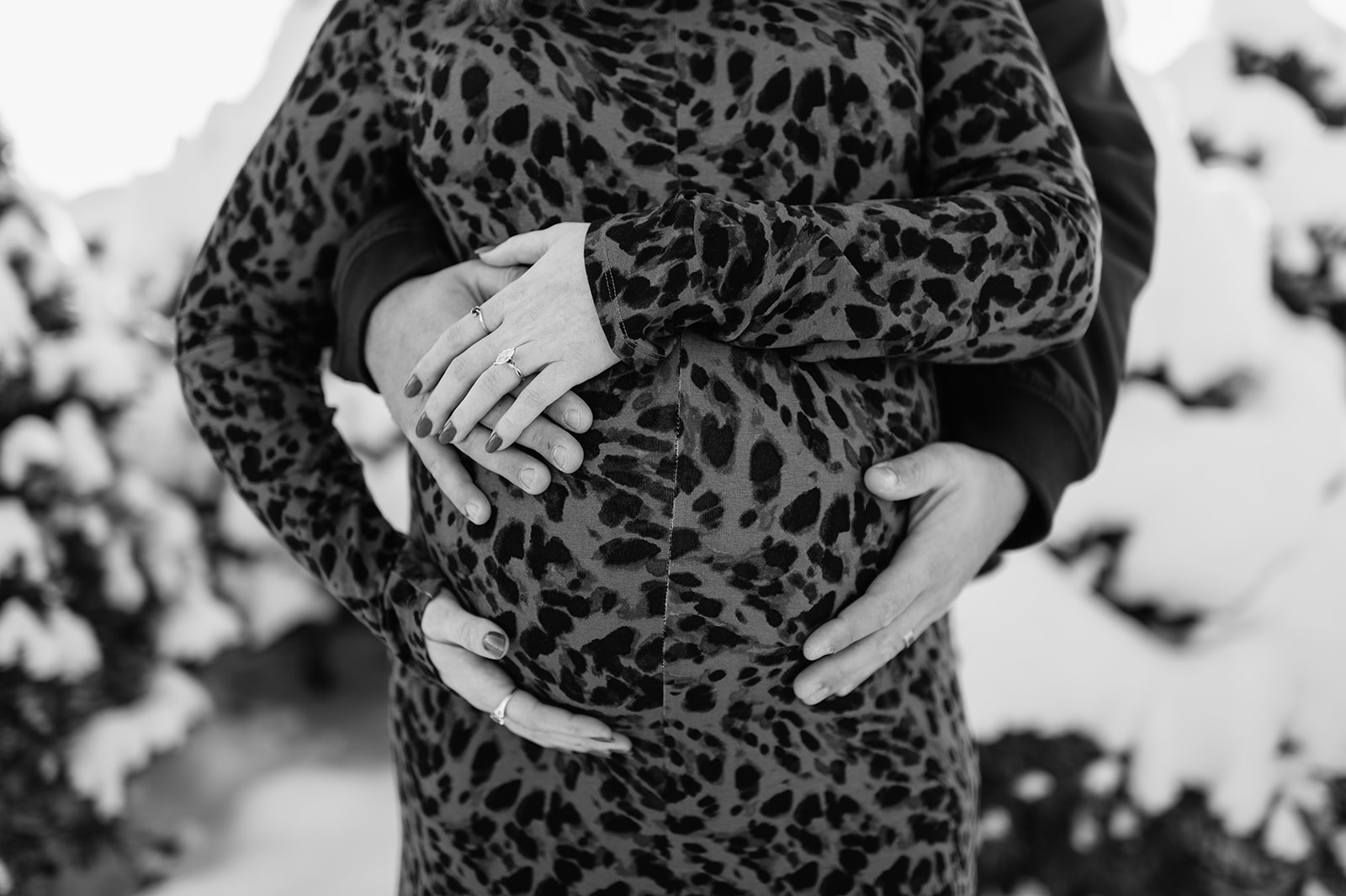 Detail photo of hands resting on baby bump during winter maternity photos at a snowy tree farm.