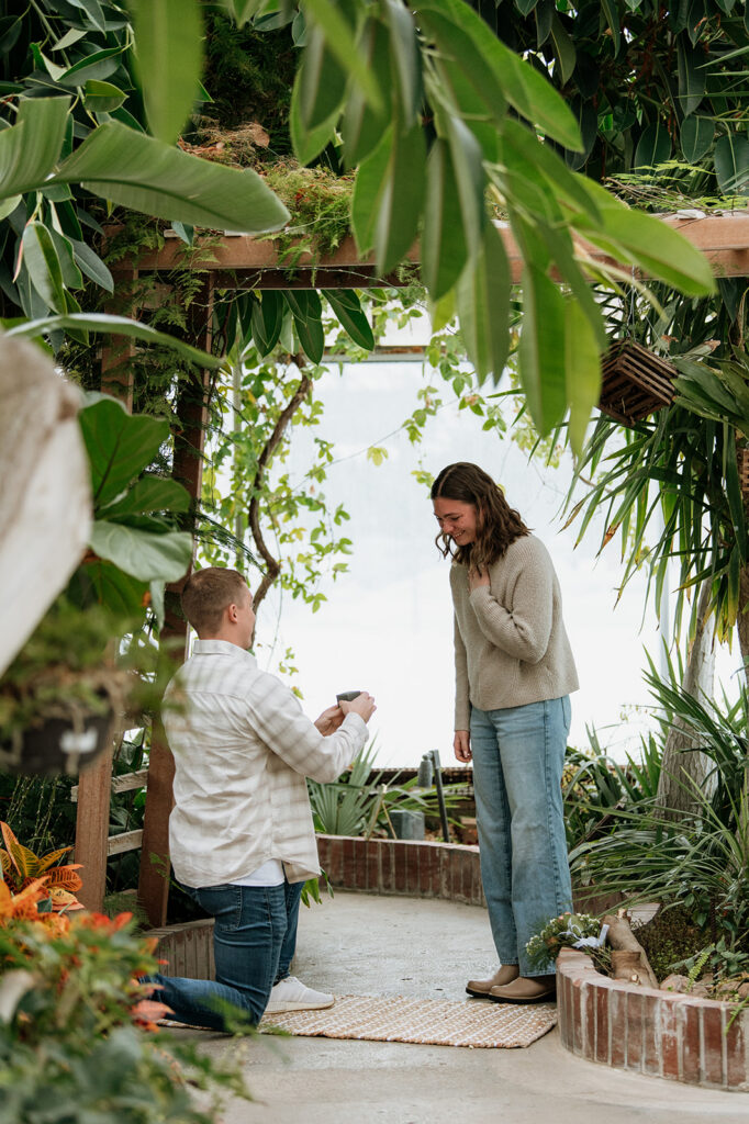 Man kneeling on one knee during a South Bend, Indiana proposal at Potawatomi Conservatories.