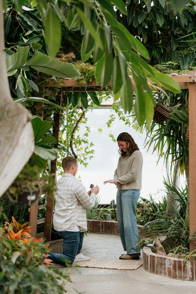 Man kneeling on one knee during a South Bend, Indiana proposal at Potawatomi Conservatories.