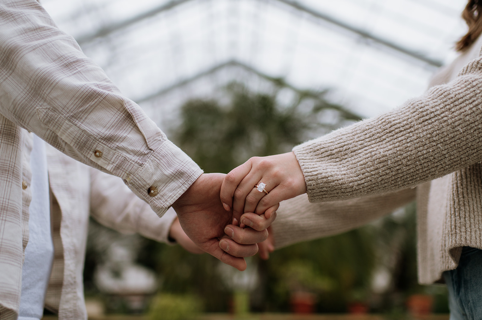 Close up shot of a couple holding hands during their South Bend, Indiana proposal photoshoot at Potawatomi Conservatories.